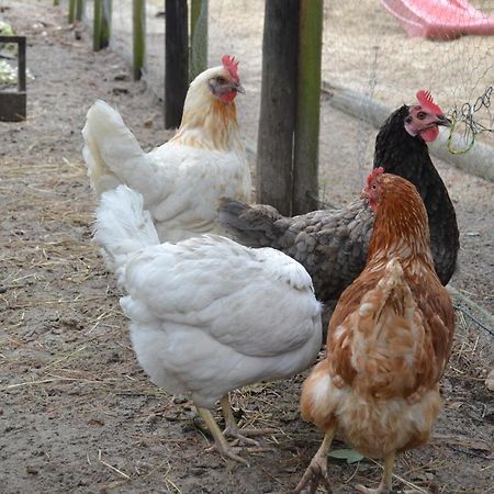 Ferienanlage Duhnen Haus 23 Cuxhaven Kültér fotó